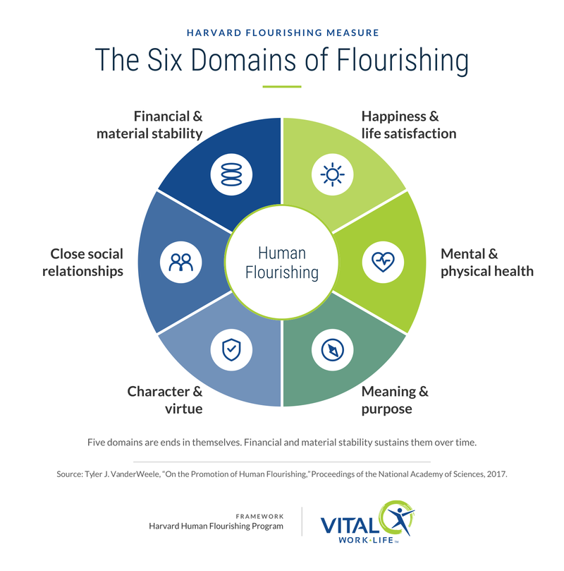 Harvard Flourishing Measure Infographic